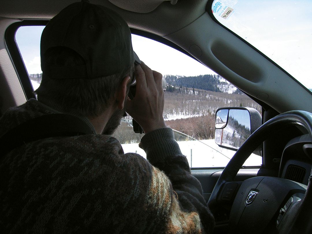 Glassing for critters – and stopping periodically to get on the howler – provides an opportunity to spot predators that can then be stalked on foot.